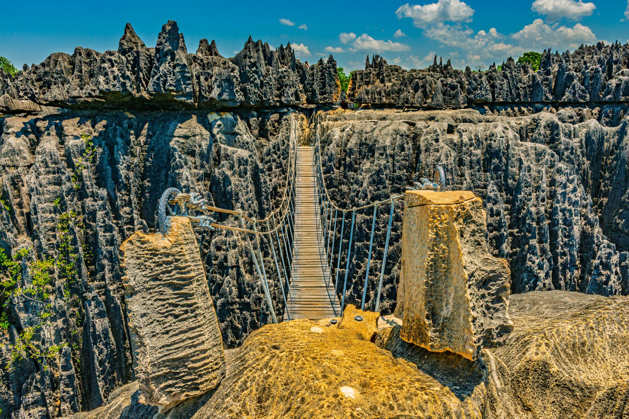 Discover Madagascar Gallery
