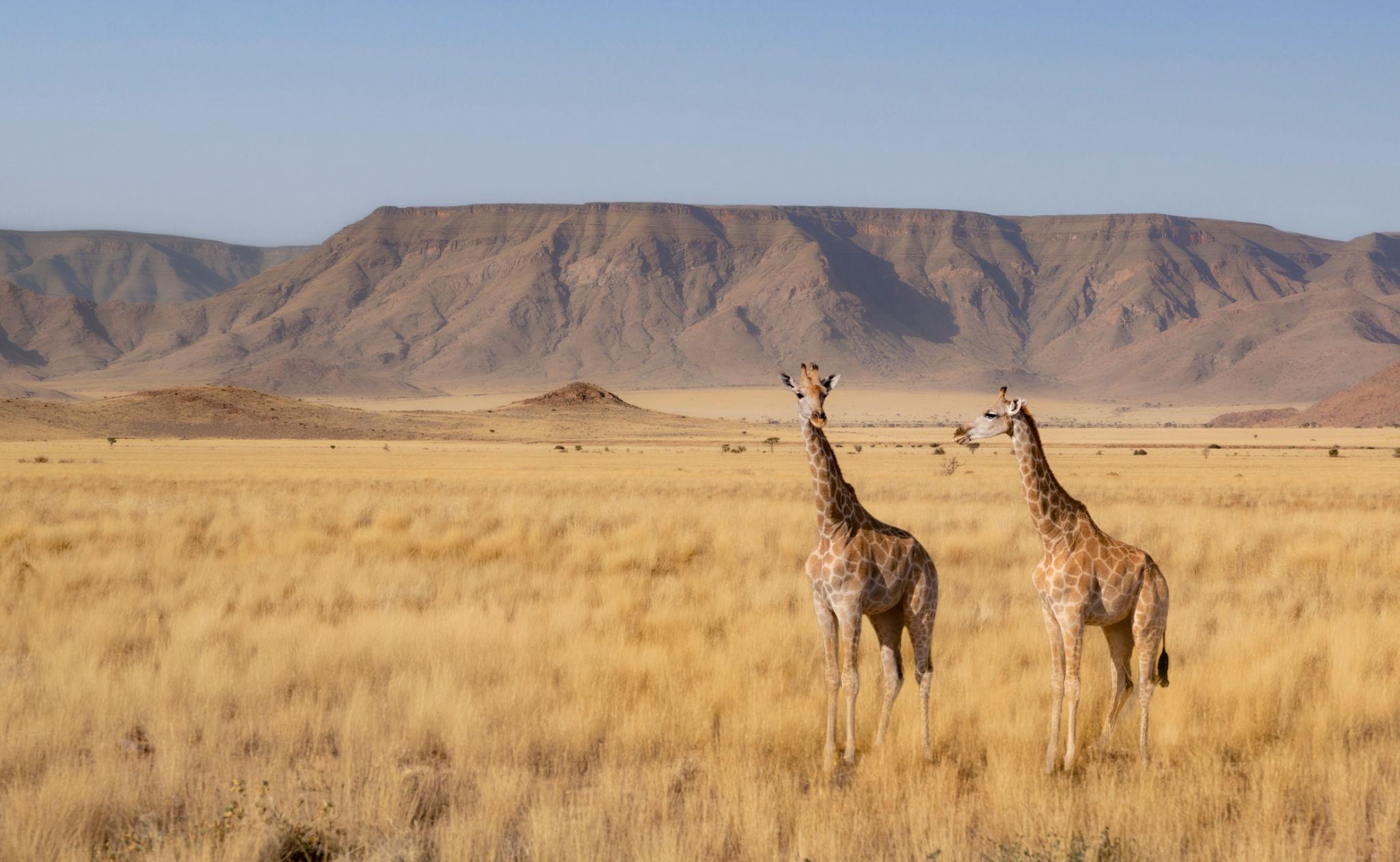Discover Namibia Gallery