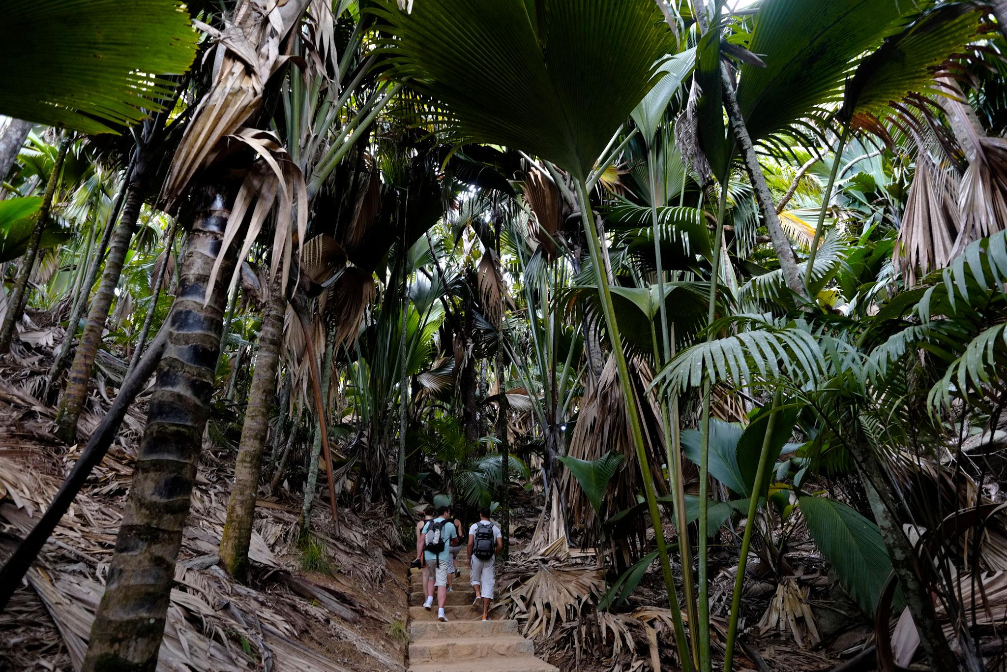 Discover Seychelles Gallery