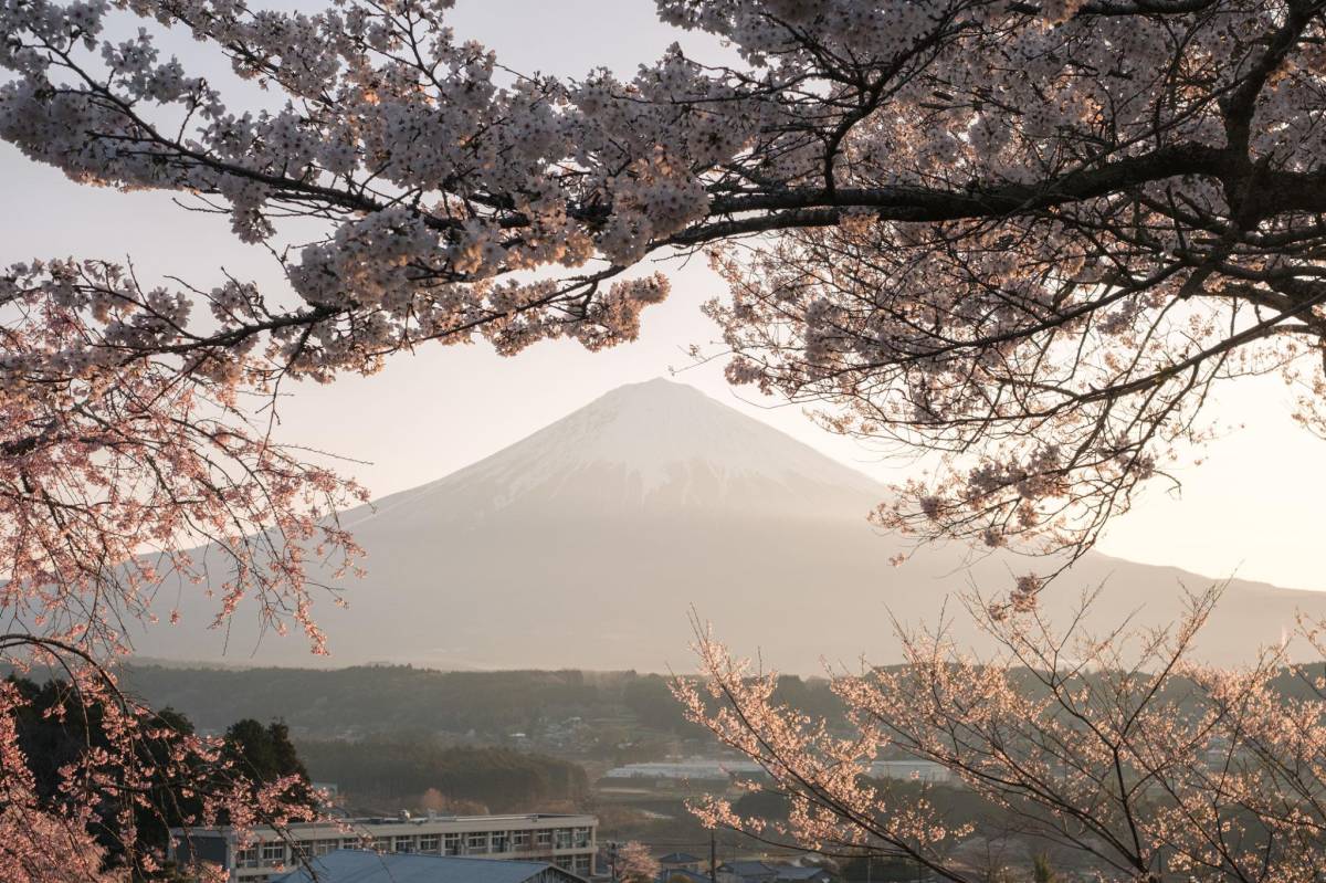 Explore Japan Gallery