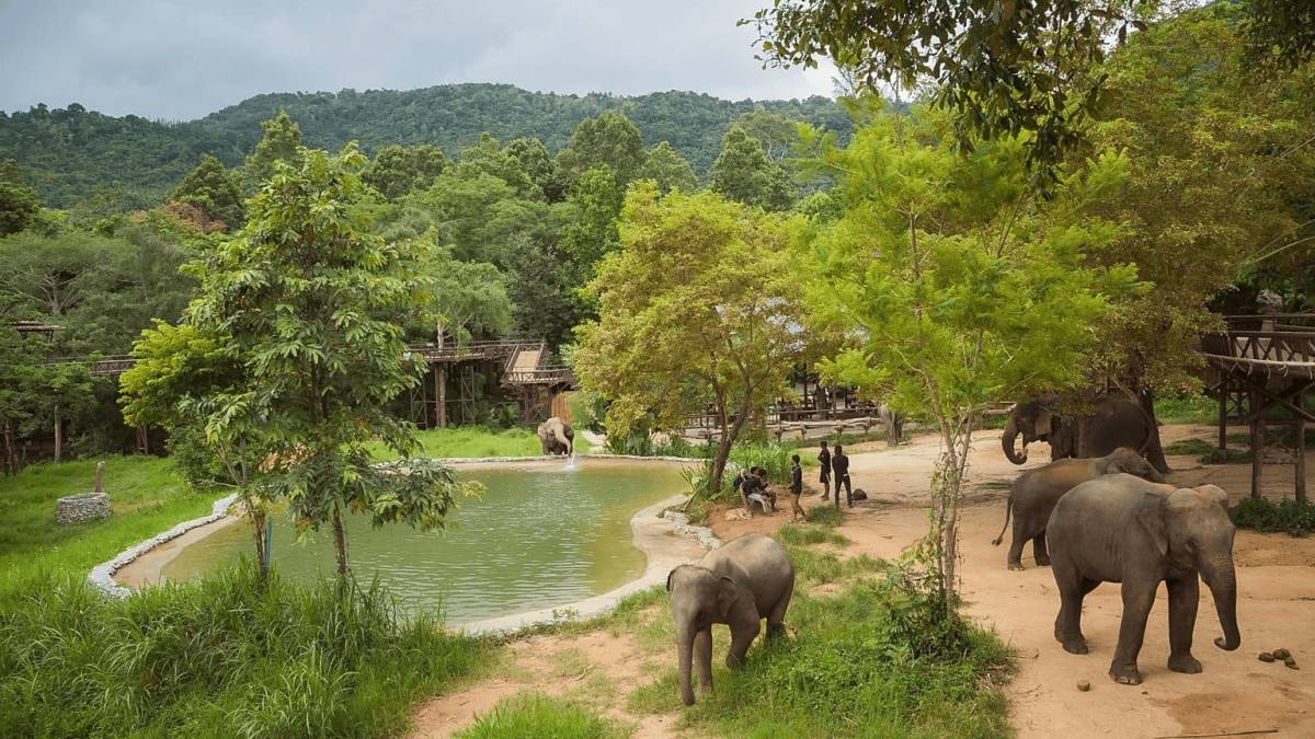 Discover Thailand Gallery